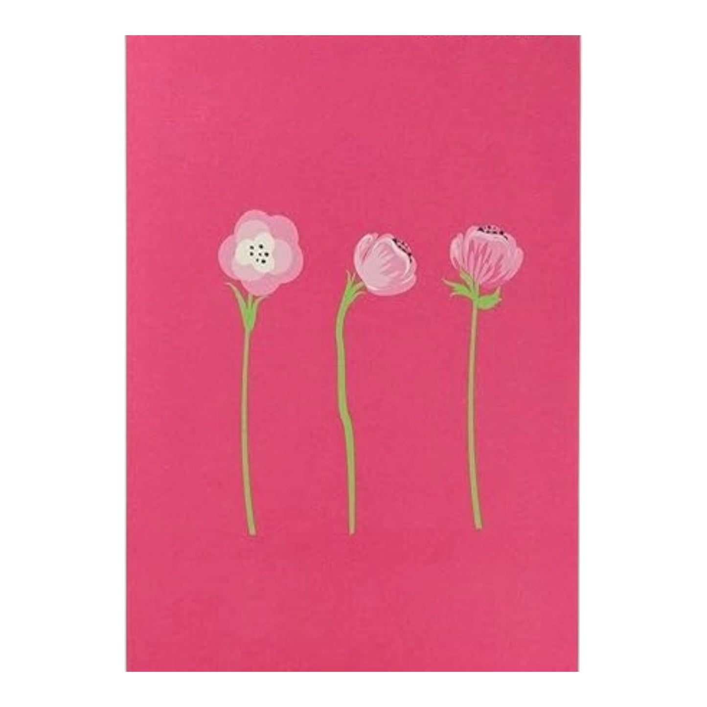 Pop-Up Karte Blumenwiesengrüße