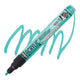 Turquoise 16