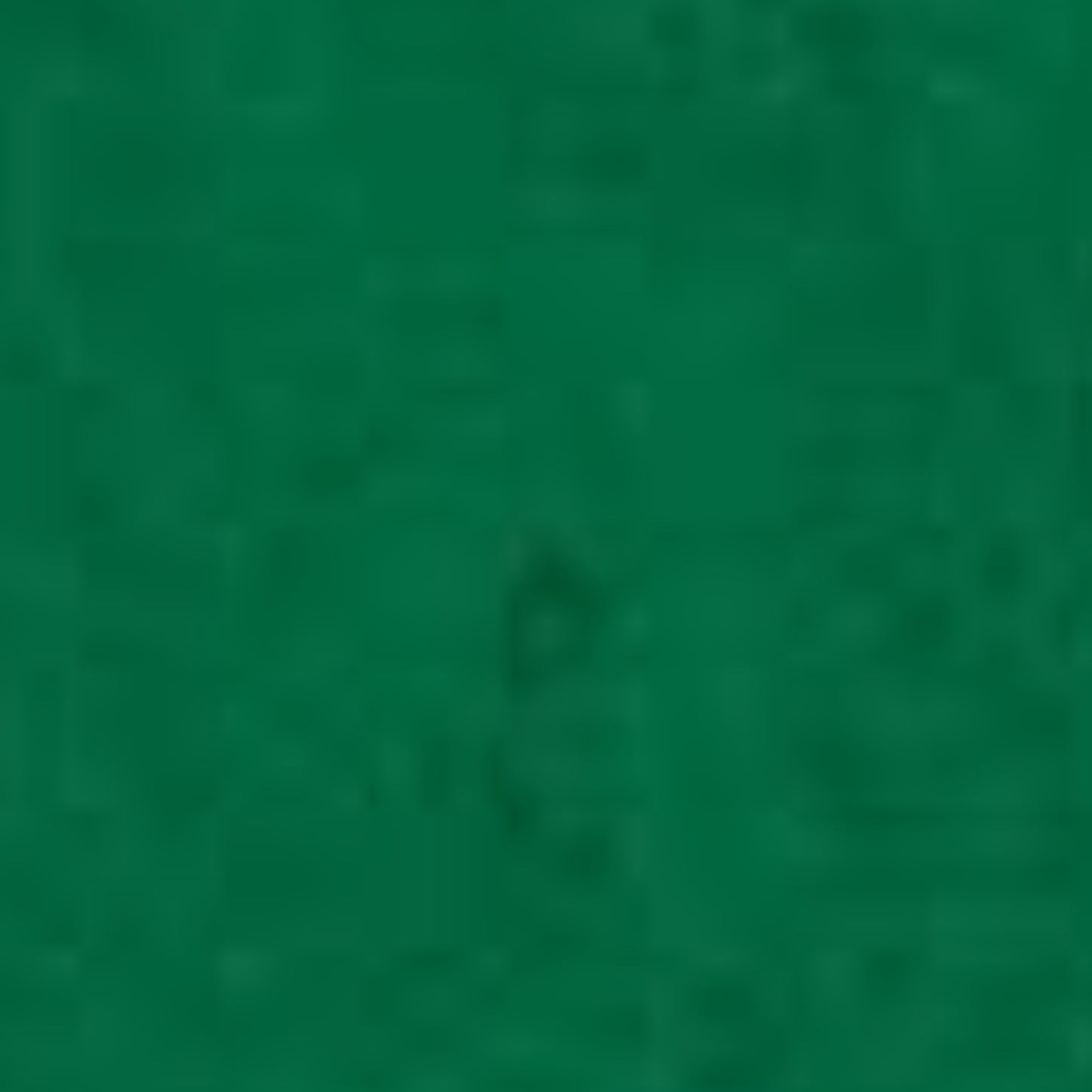 Glorex Filz-Zuschnitte 20 × 30 cm 0,8-1 mm Grasgrün