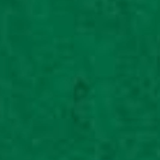 Glorex Filz-Zuschnitte 20 × 30 cm 0,8-1 mm Grasgrün