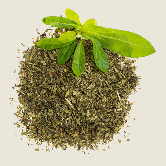 Glorex Blüten Spitzwegerich 4 g