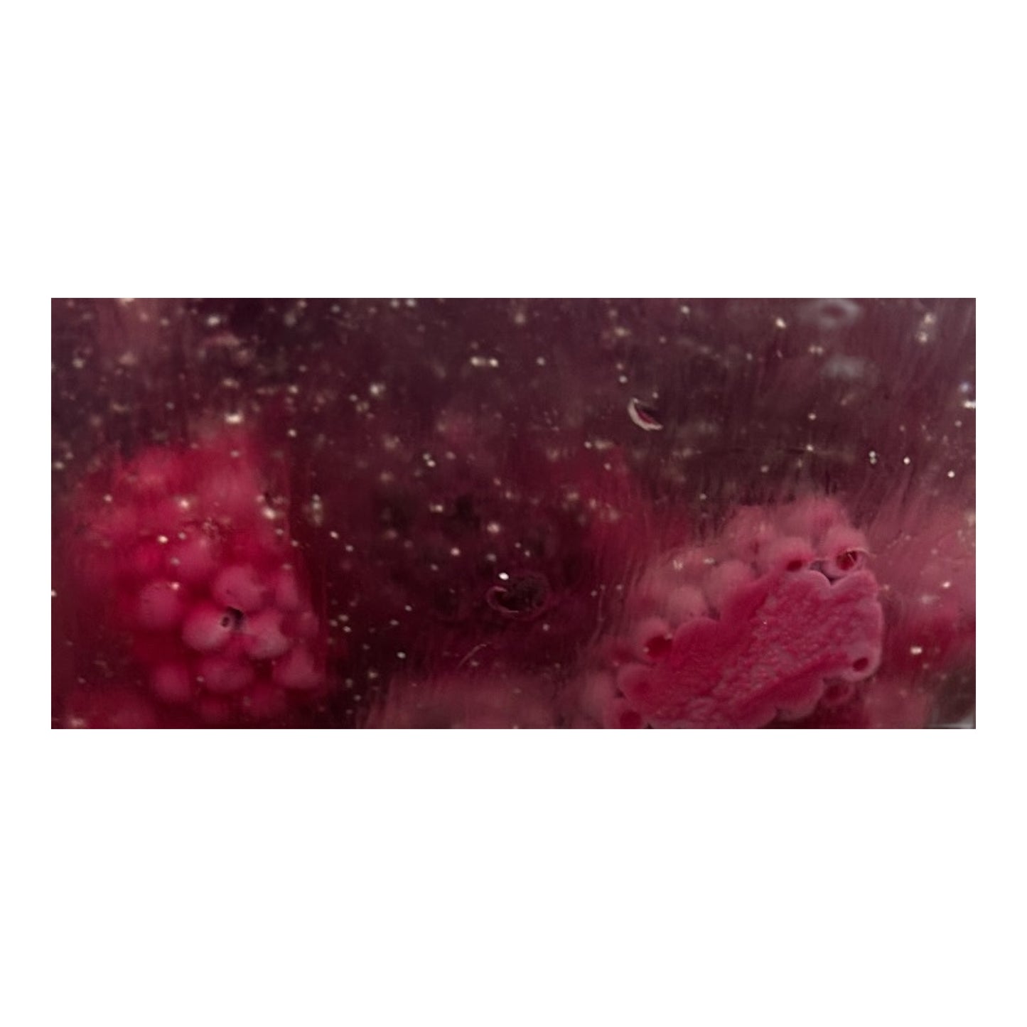 Goleo Nr. 763– Handgemachte Seife „Brombeere mit Vanille“