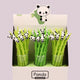 Flex Panda
